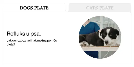 Refluks u psa - Czy Twój pies ulewa czy wymiotuje? Poradnik